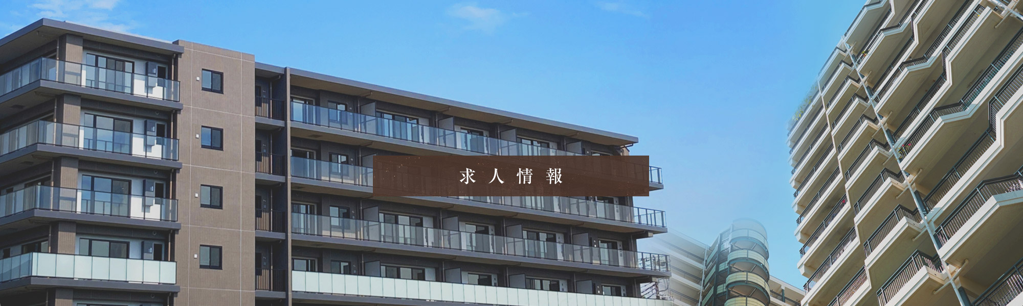 求人情報